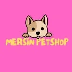 '{Category}' kategorisindeki '488216082_958332342800023_5961862853996542258_n.webp' medyası